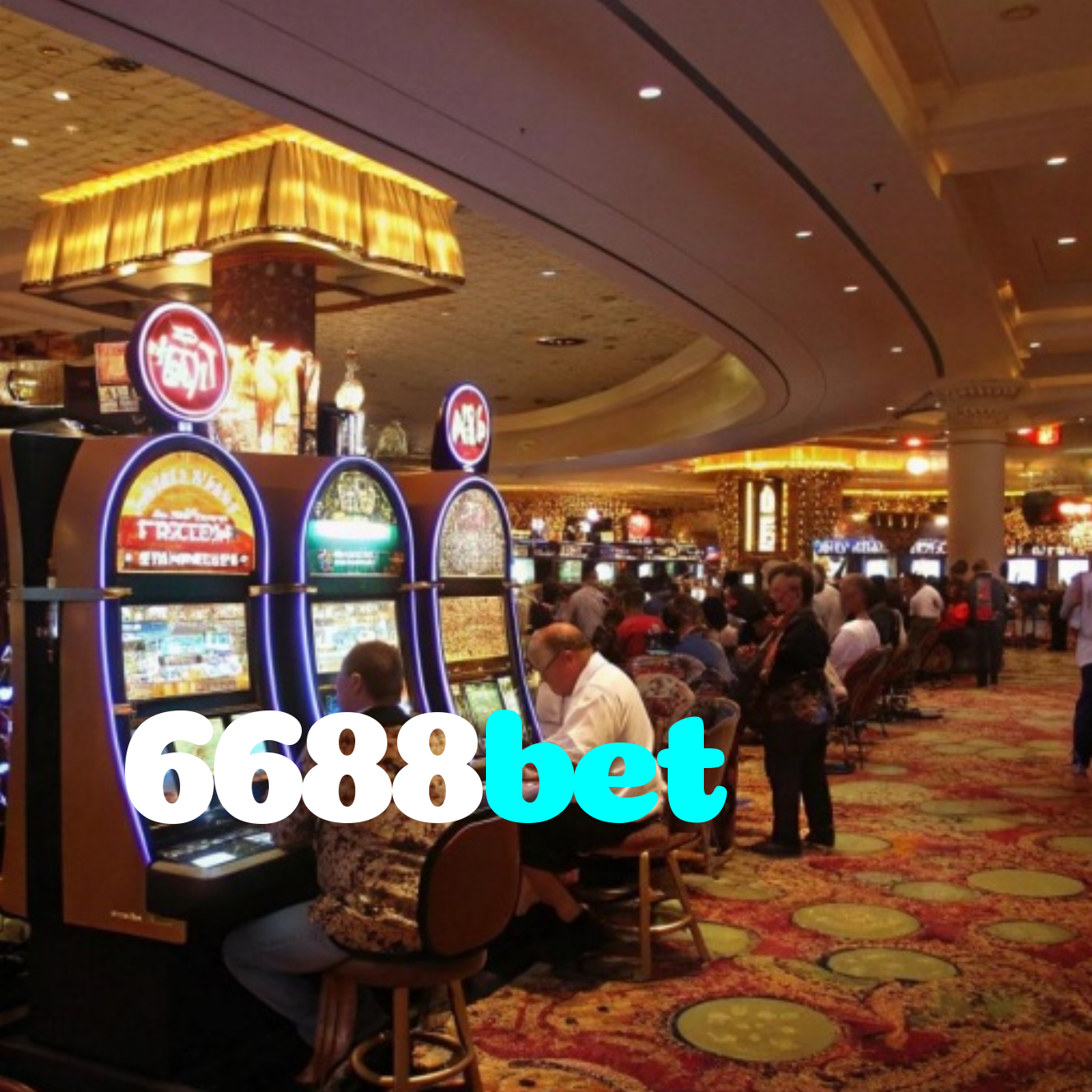 6688bet