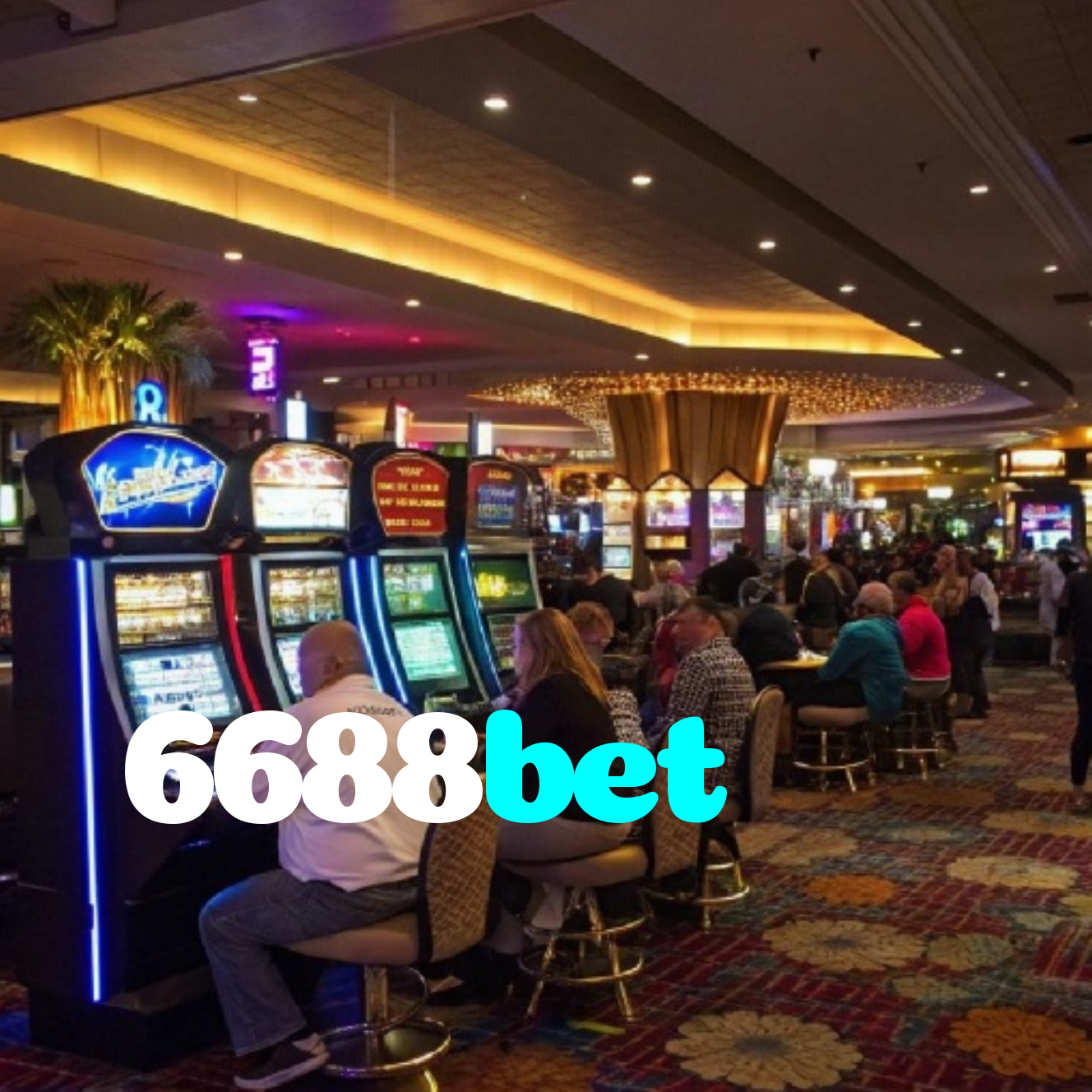 6688bet