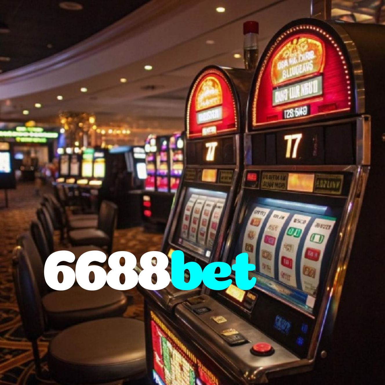 6688bet